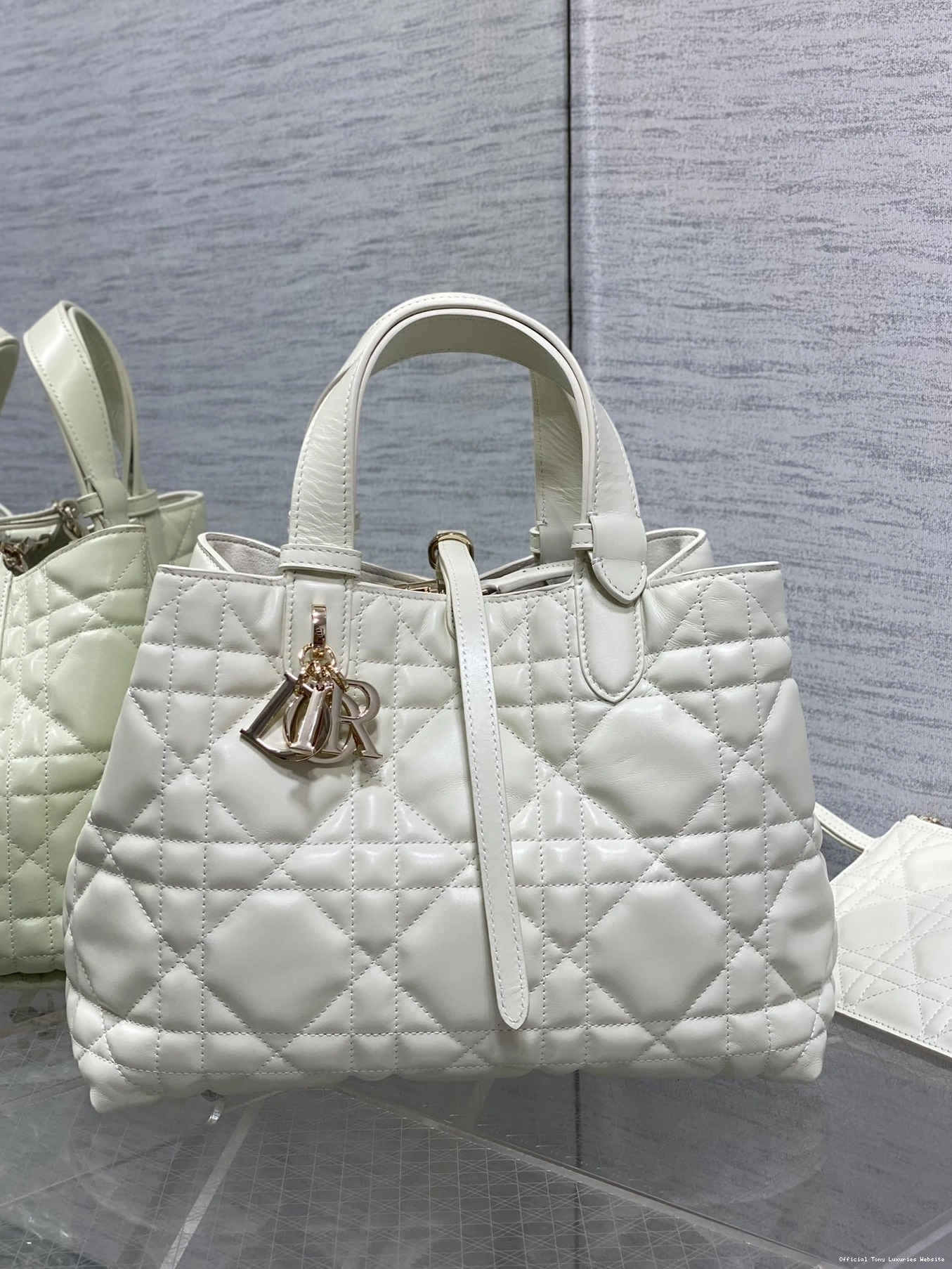 Tony Luxuries MEDIUM TOUJOURS BAG diro 0808